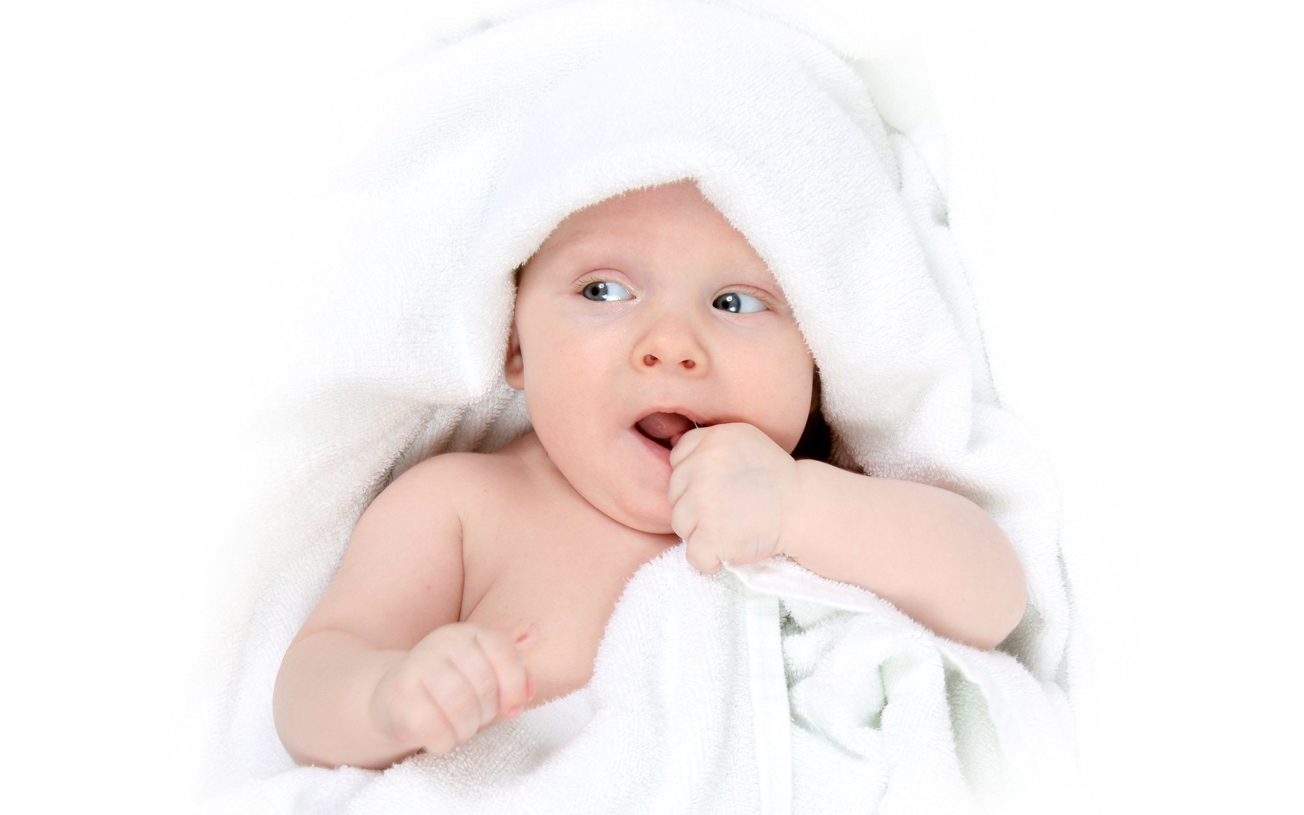供卵代怀捐卵发展报告发布